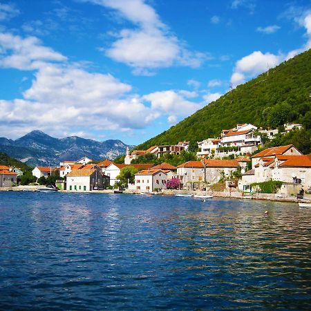 Apartments Lola Tivat Zewnętrze zdjęcie
